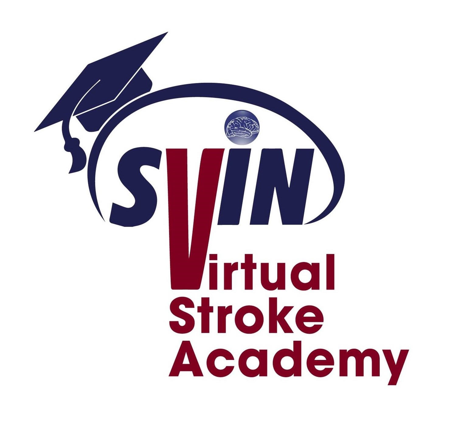 Virtual Stroke Academy | Society of Vascular and Interventional Neurology