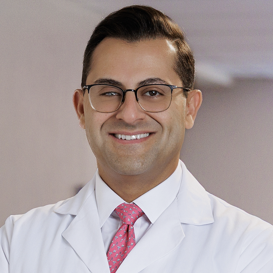 Ameer E. Hassan, DO, FAHA, FSVIN