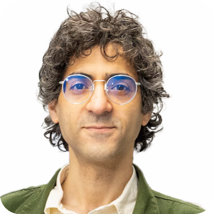 Hesham E. Masoud, MD, MSc., RPNI, CHSE, FSVIN