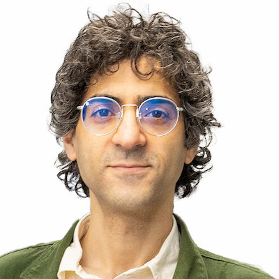 Hesham E. Masoud, MD, MSc., RPNI, CHSE, FSVIN